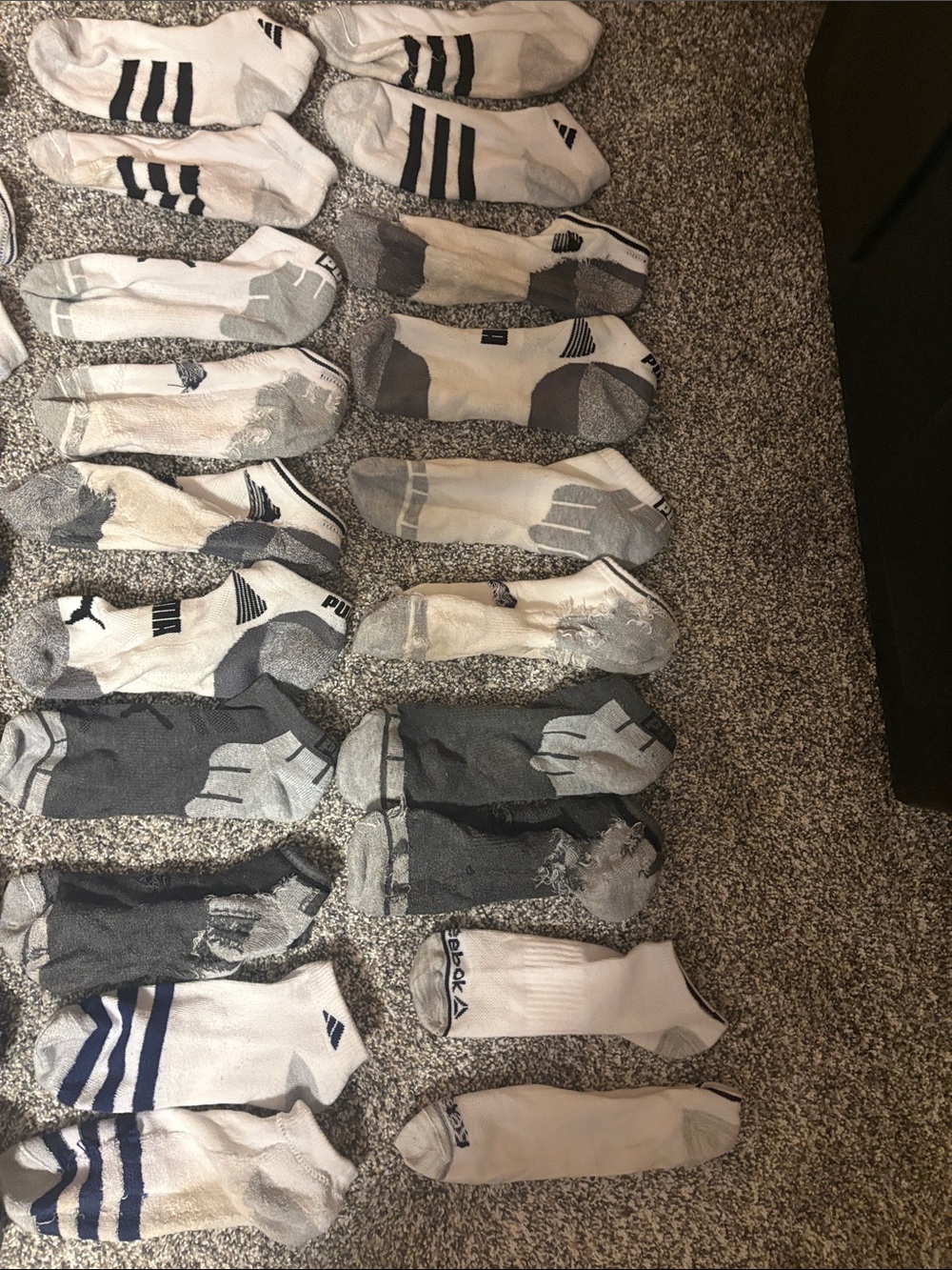 Mens assorted no show socks - Picture 3 of 3